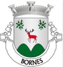 Junta Freguesia de Bornes e Burga